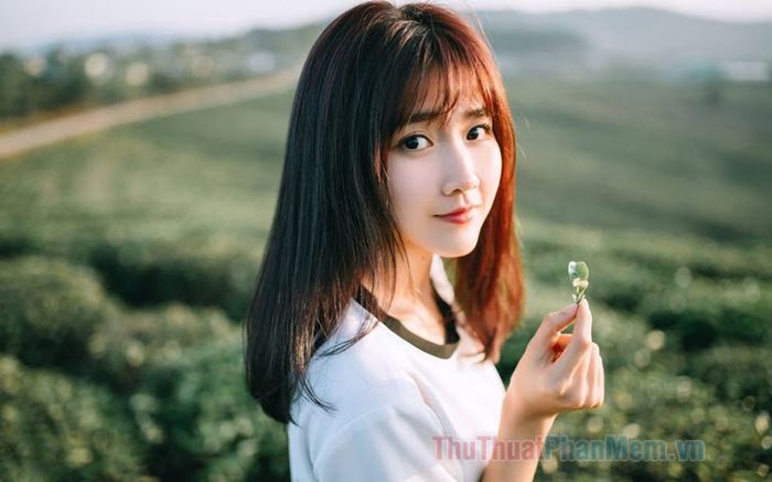 NGUYỄN THÙY LINH